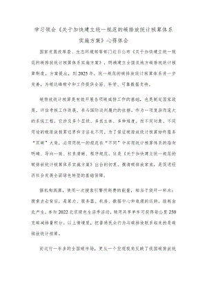 学习领会《关于加快建立统一规范的碳排放统计核算体系实施方案》心得体会.docx