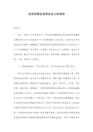 在市安委会全体会议上的讲话.docx