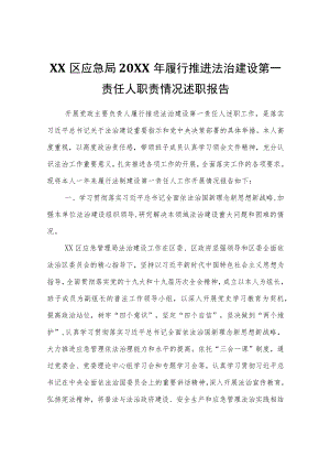 XX区应急局2021年履行推进法治建设第一责任人职责情况述职报告.docx