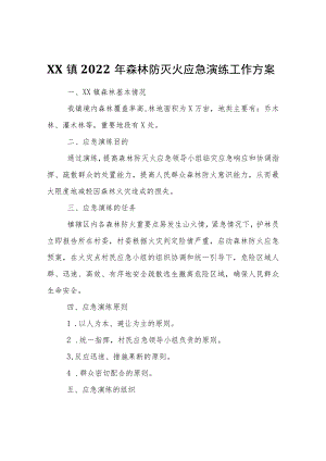 XX镇2022年森林防灭火应急演练工作方案.docx