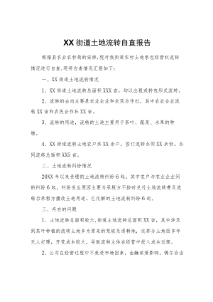 XX街道土地流转自查报告.docx