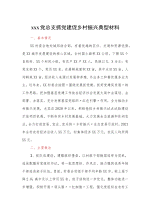 xxx党总支抓党建促乡村振兴典型材料.docx