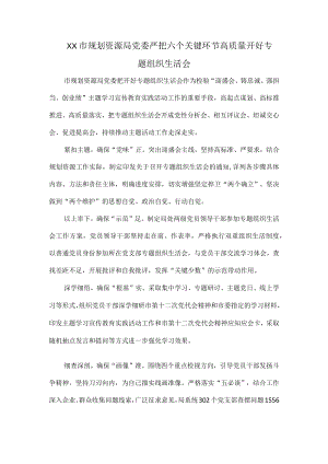 XX市规划资源局党委严把六个关键环节高质量开好专题组织生活会.docx