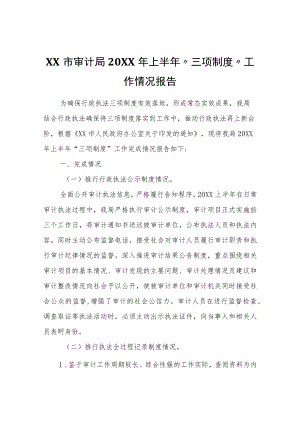 XX市审计局2022年上半年“三项制度”工作情况报告.docx