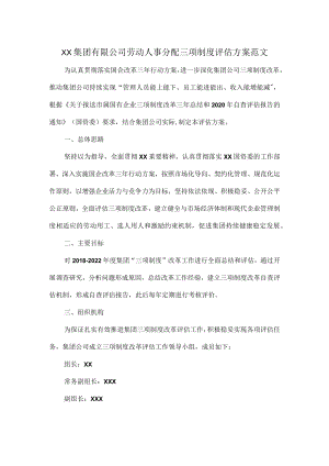 XX集团有限公司劳动人事分配三项制度评估方案范文.docx