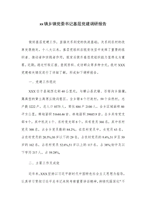 xx镇乡镇党委书记基层党建调研报告.docx