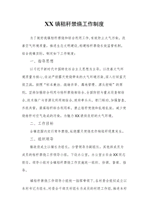 XX镇秸秆禁烧工作制度.docx