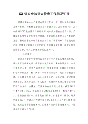 XX镇安全防范大检查工作情况汇报.docx