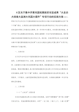 X区关于集中开展巩固拓展脱贫攻坚成果“大走访大排查大监测大巩固大提升”专项行动的实施方案.docx