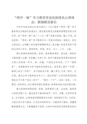 “两学一做”学习教育常态化制度化心得体会：抓细抓实抓长.docx