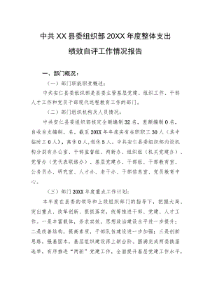 中共XX县委组织部20XX年度整体支出绩效自评工作情况报告（20220616）.docx