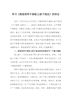 《推进领导干部能上能下规定》心得体会发言稿七篇.docx