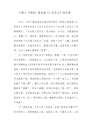 专题片《领航》第6集《人民民主》观后感.docx