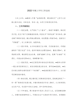 2022镇上半工作总结.docx