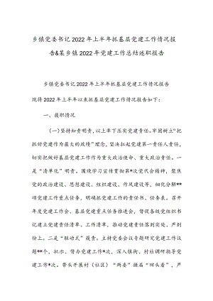 乡镇党委书记2022上半抓基层党建工作情况报告 & 某乡镇2022党建工作总结述职报告.docx
