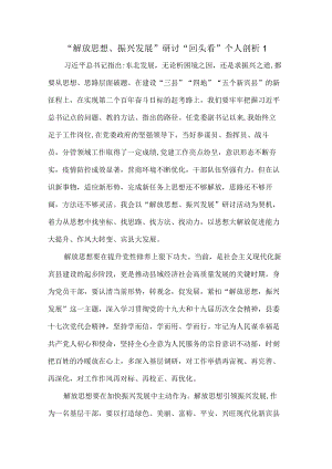 2022解放思想、振兴发展研讨回头看剖析材料二.docx