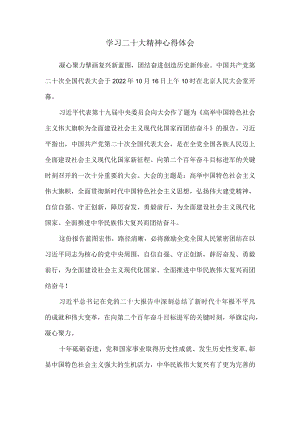2022认真学习二十大精神心得体会四.docx