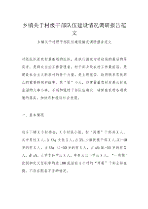 乡镇关于村级干部队伍建设情况调研报告范文.docx