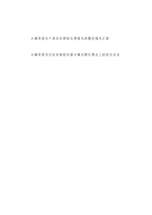 乡镇党委关于落实巡察组反馈意见的整改情况汇报+书记在巡察组巡察乡镇问题反馈会上的表态发言.docx