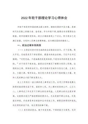 2022轻干部理论学习心得体会.docx