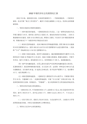2022镇经济社会发展情况汇报.docx