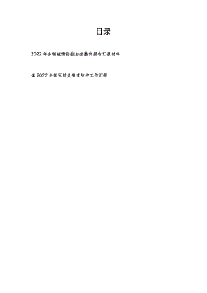 乡镇2022疫情防控工作汇报和自查整改报告汇报材料.docx