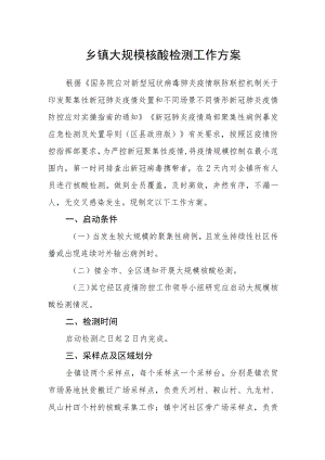 乡镇大规模核酸检测工作方案.docx