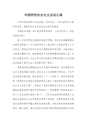 中国特色社会主义法治之魂.docx