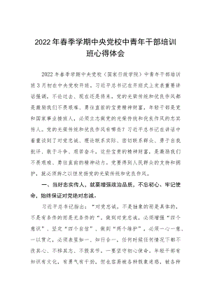 2022轻干部理论学习心得体会五篇合集.docx