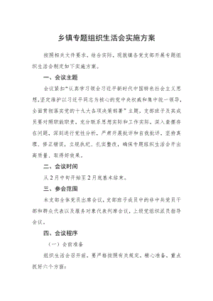 乡镇专题组织生活会实施方案.docx