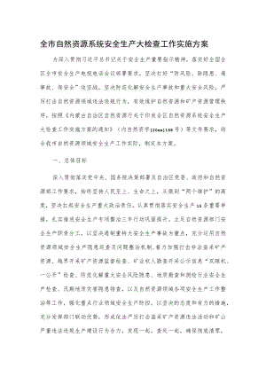 全市自然资源系统安全生产大检查工作实施方案.docx
