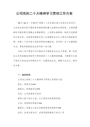 公司党的二十大精神学习贯彻工作方案.docx
