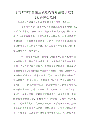 全市年轻干部廉洁从政教育专题培训班学习心得体会范例.docx