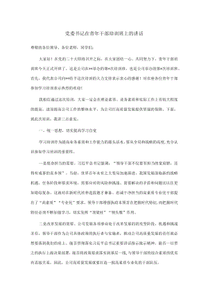 党委书记在青年干部培训班上的讲话.docx