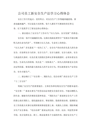 公司员工新安全生产法学习心得体会.docx