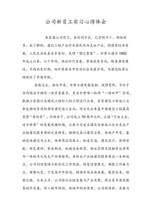 公司新员工实习心得体会.docx