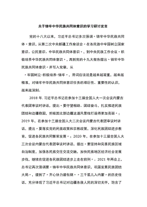 关于铸牢中华民族共同体意识的学习研讨发言(1).docx