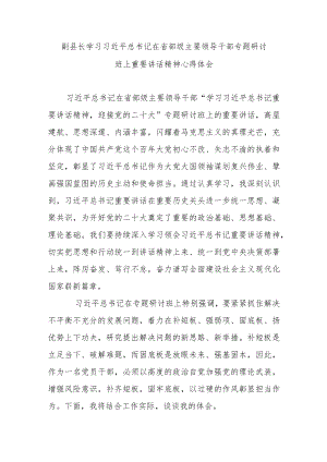 副县长学习在省部级主要领导干部专题研讨班上重要讲话精神心得体会.docx