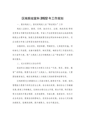 区残联组宣科2022年工作规划.docx