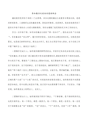 参加廉洁从政培训感悟体会.docx