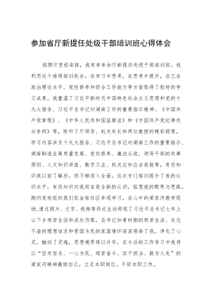 参加省厅新提任处级干部培训班心得体会.docx