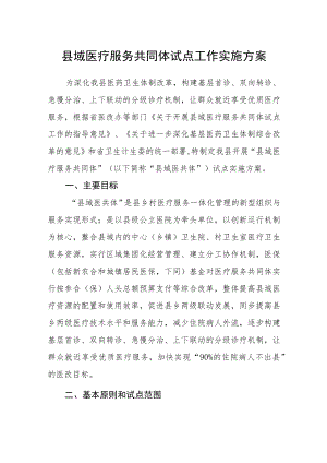 县域医疗服务共同体试点工作实施方案.docx