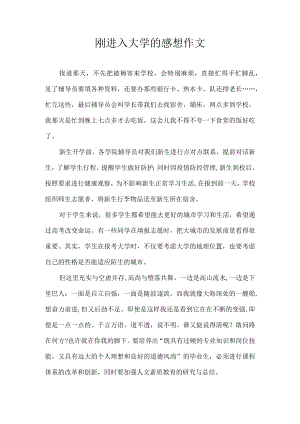 刚进入大学的感想作文.docx