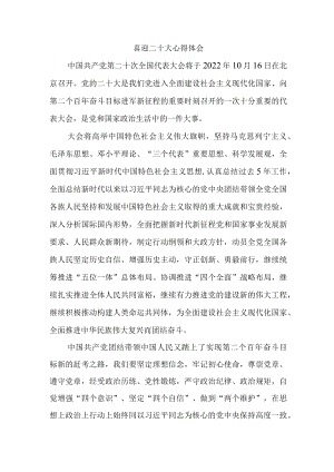 喜迎二十大心得体会三.docx