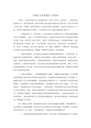 办理人大代表建议工作总结.docx