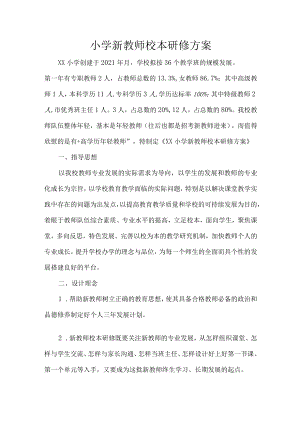 小学新教师校本研修方案.docx