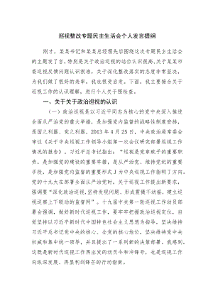 巡视整改专题民主生活会个人发言提纲.docx