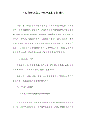 县应急管理局安全生产工作汇报材料.docx