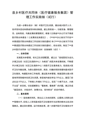 县乡村医疗共同体（医疗健康服务集团）管理工作实施细（试行）.docx