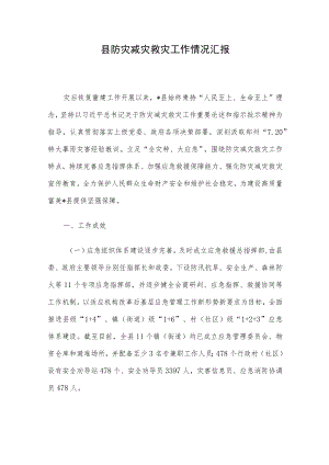 县防灾减灾救灾工作情况汇报.docx